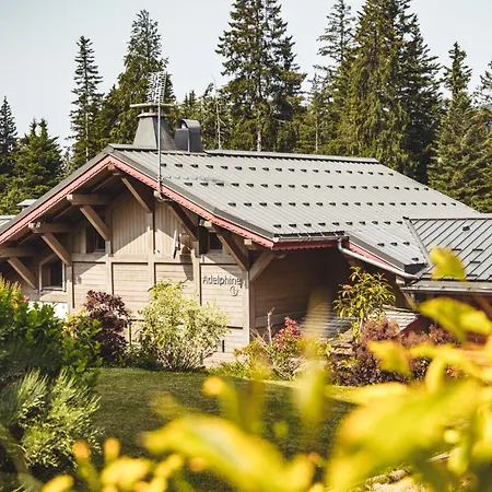 Les Chalets d'Adelphine-2
